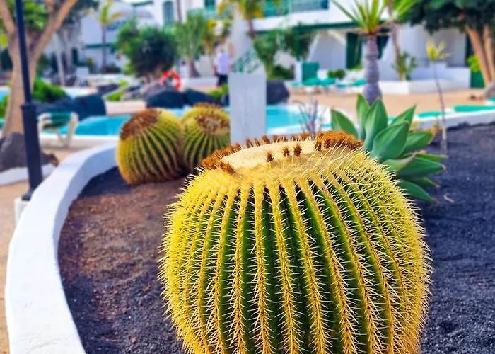 Apartment Un Capricho