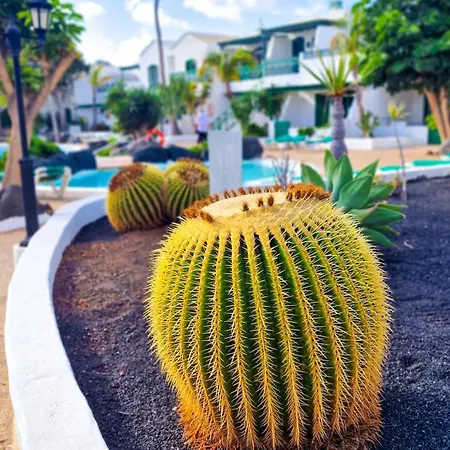 Apartamento Un Capricho